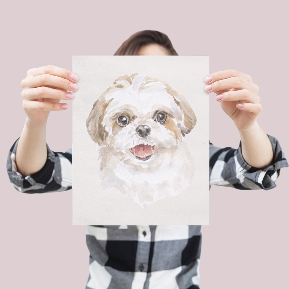 Watercolor Shih Tzu Dog Wall Art Illustration Print Poster Card Unframed - Picture 3 of 7